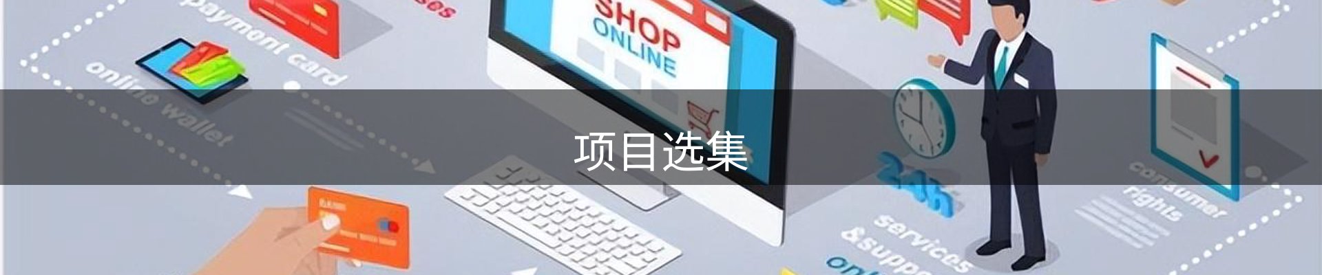 项目选集